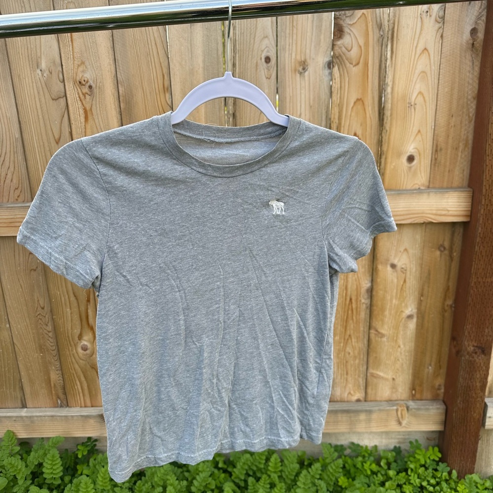 Abercrombie Kids Gray Short Sleeve Tee